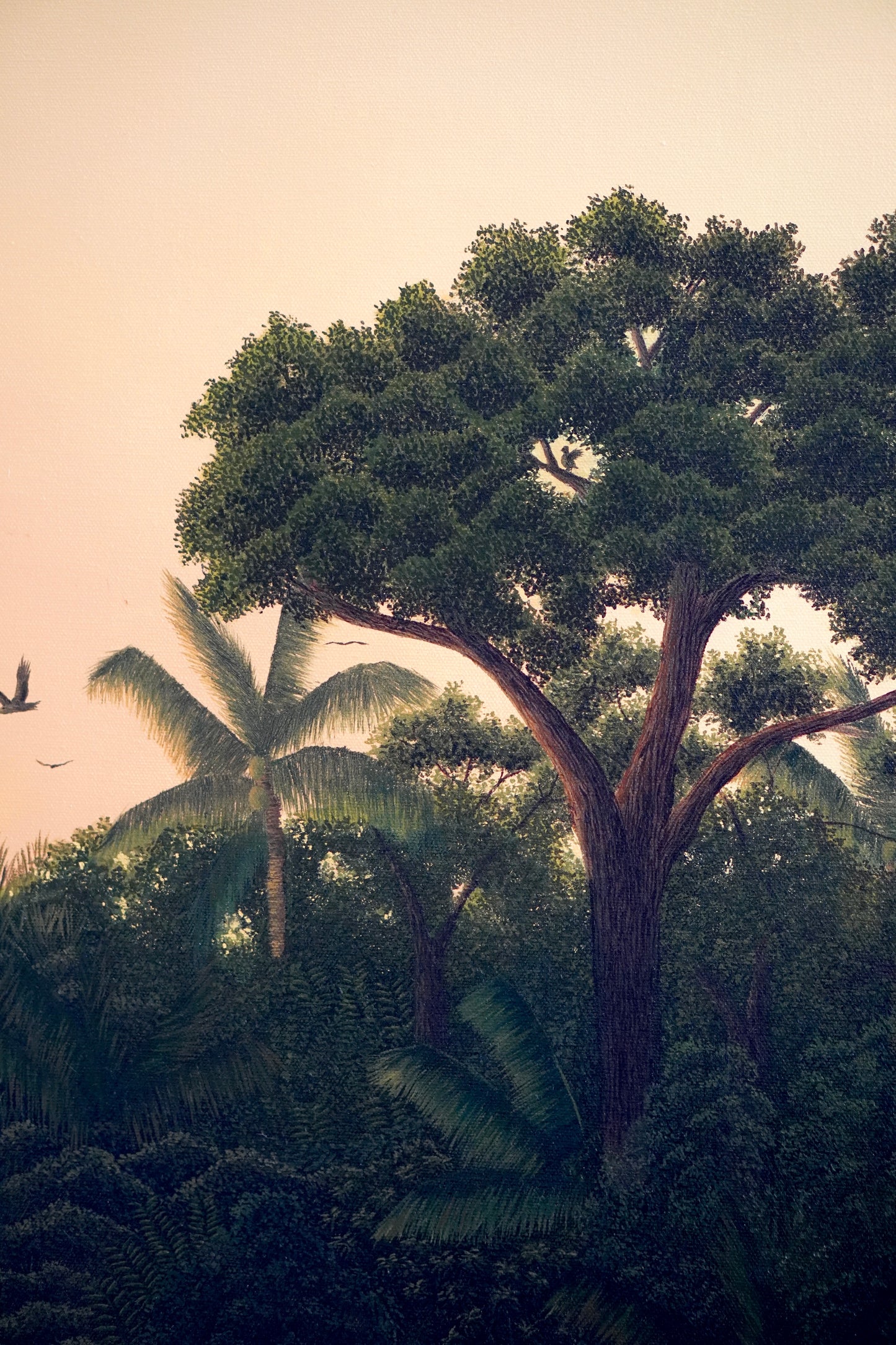 The Birds of The Air